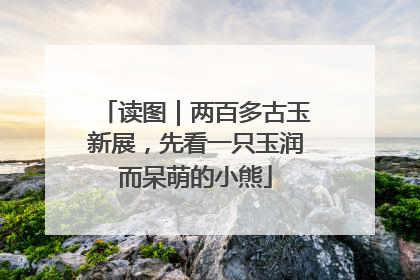 读图｜两百多古玉新展，先看一只玉润而呆萌的小熊