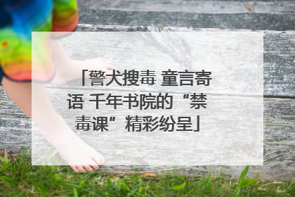 警犬搜毒 童言寄语 千年书院的“禁毒课”精彩纷呈