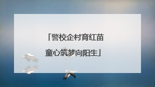 警校企村育红苗 童心筑梦向阳生