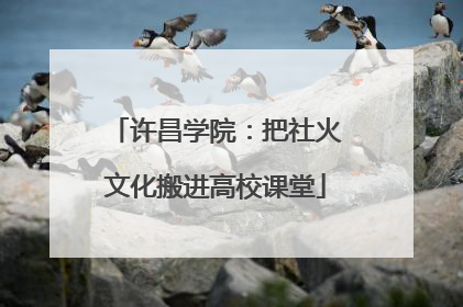 许昌学院：把社火文化搬进高校课堂