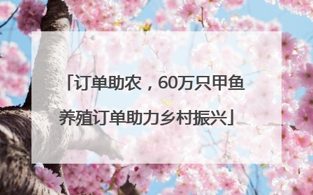 订单助农，60万只甲鱼养殖订单助力乡村振兴