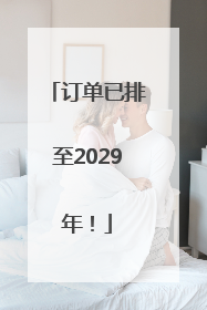订单已排至2029年！
