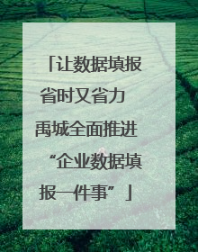 让数据填报省时又省力 禹城全面推进“企业数据填报一件事”