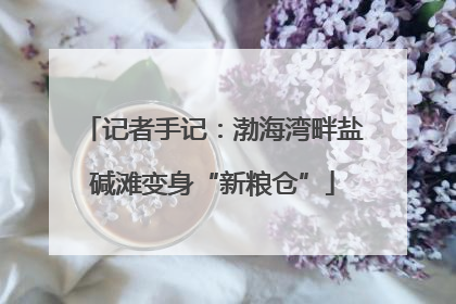 记者手记：渤海湾畔盐碱滩变身“新粮仓”