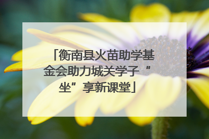 衡南县火苗助学基金会助力城关学子“坐”享新课堂