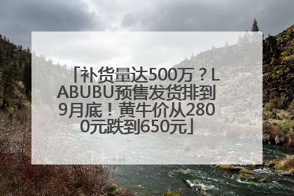补货量达500万？LABUBU预售发货排到9月底！黄牛价从2800元跌到650元