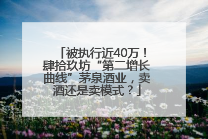 被执行近40万！肆拾玖坊“第二增长曲线”茅泉酒业，卖酒还是卖模式？