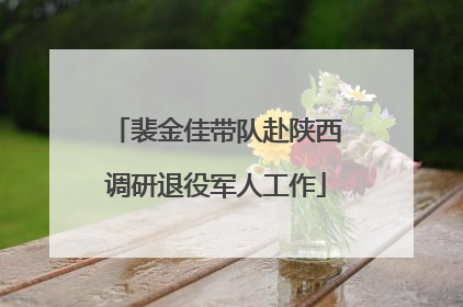裴金佳带队赴陕西调研退役军人工作