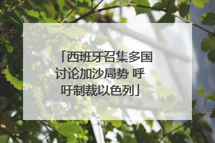 西班牙召集多国讨论加沙局势 呼吁制裁以色列