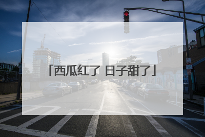西瓜红了 日子甜了