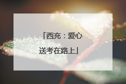 西充：爱心送考在路上