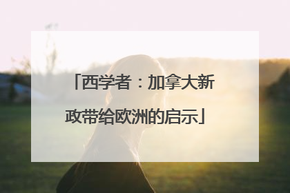 西学者：加拿大新政带给欧洲的启示