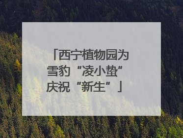 西宁植物园为雪豹“凌小蛰”庆祝“新生”