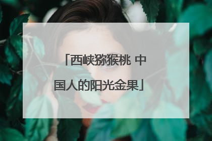 西峡猕猴桃 中国人的阳光金果