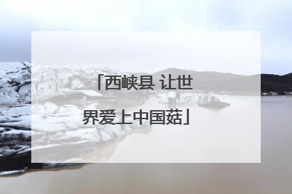 西峡县 让世界爱上中国菇