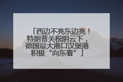 西边不亮东边亮！特朗普关税阴云下，德国最大港口汉堡港积极“向东看”
