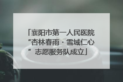 襄阳市第一人民医院“杏林春雨・雪域仁心”志愿服务队成立