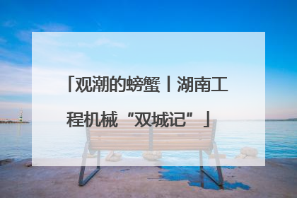 观潮的螃蟹丨湖南工程机械“双城记”