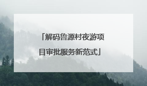 解码鲁源村夜游项目审批服务新范式