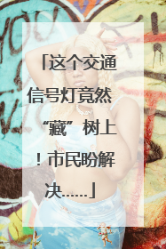 这个交通信号灯竟然“藏”树上！市民盼解决……