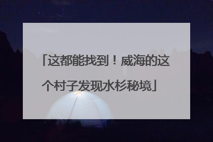 这都能找到！威海的这个村子发现水杉秘境