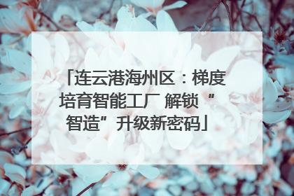 连云港海州区：梯度培育智能工厂 解锁“智造”升级新密码