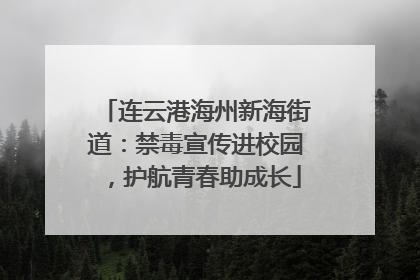 连云港海州新海街道：禁毒宣传进校园，护航青春助成长
