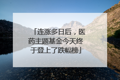 连涨多日后，医药主题基金今天终于登上了跌幅榜