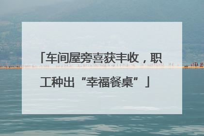 车间屋旁喜获丰收，职工种出“幸福餐桌”