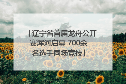 辽宁省首届龙舟公开赛浑河启幕 700余名选手同场竞技