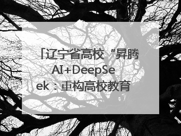 辽宁省高校“昇腾AI+DeepSeek：重构高校教育科技生态”研讨会在沈阳成功举办