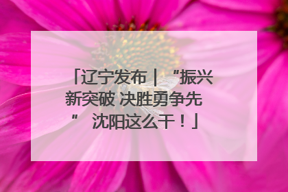 辽宁发布｜“振兴新突破 决胜勇争先” 沈阳这么干！