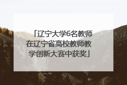 辽宁大学6名教师在辽宁省高校教师教学创新大赛中获奖
