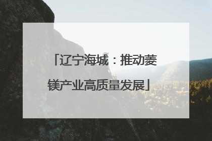 辽宁海城：推动菱镁产业高质量发展