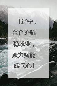 辽宁：兴企护航稳就业，聚力赋能暖民心