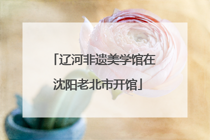 辽河非遗美学馆在沈阳老北市开馆
