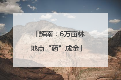 辉南：6万亩林地点“药”成金