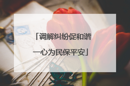 调解纠纷促和谐 一心为民保平安