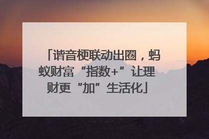 谐音梗联动出圈，蚂蚁财富“指数+”让理财更“加”生活化