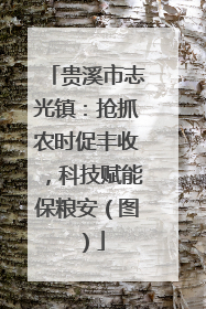 贵溪市志光镇：抢抓农时促丰收，科技赋能保粮安（图）