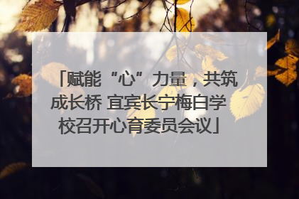 赋能“心”力量，共筑成长桥 宜宾长宁梅白学校召开心育委员会议