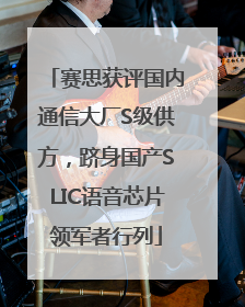赛思获评国内通信大厂S级供方，跻身国产SLIC语音芯片领军者行列