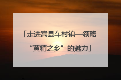 走进嵩县车村镇—领略“黄精之乡”的魅力