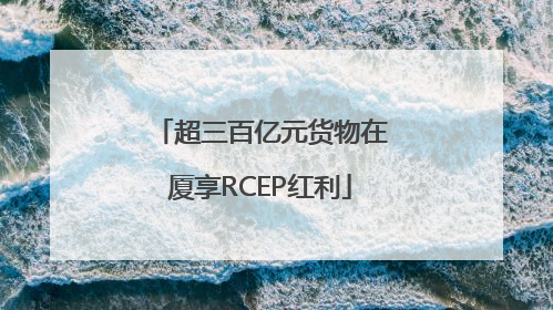 超三百亿元货物在厦享RCEP红利