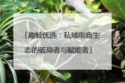 趣蛙优选：私域电商生态的破局者与赋能者