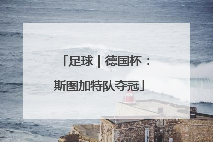 足球｜德国杯：斯图加特队夺冠