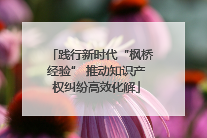 践行新时代“枫桥经验” 推动知识产权纠纷高效化解