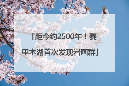 距今约2500年！赛里木湖首次发现岩画群