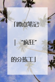 蹲点笔记｜“疯狂”的分拣工