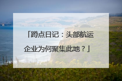 蹲点日记：头部航运企业为何聚集此地？